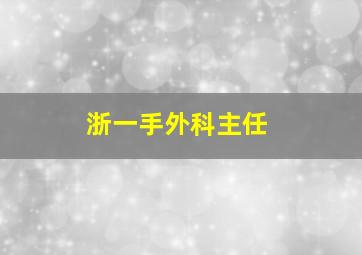 浙一手外科主任