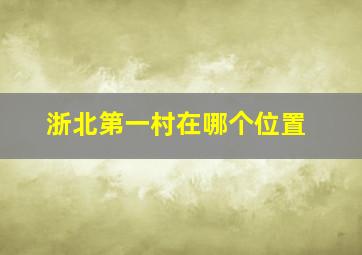 浙北第一村在哪个位置