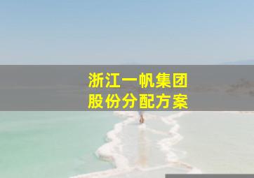 浙江一帆集团股份分配方案