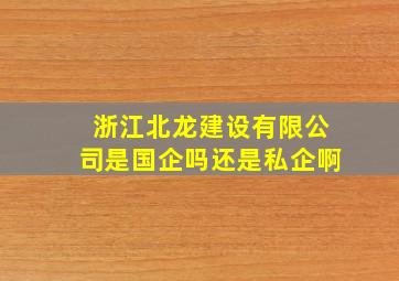 浙江北龙建设有限公司是国企吗还是私企啊