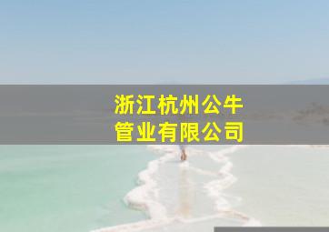 浙江杭州公牛管业有限公司