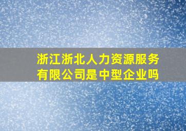 浙江浙北人力资源服务有限公司是中型企业吗