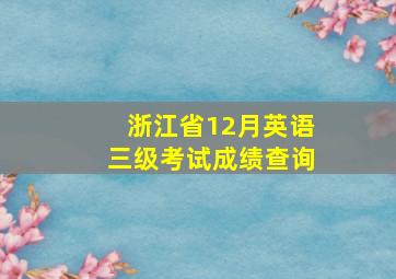 浙江省12月英语三级考试成绩查询