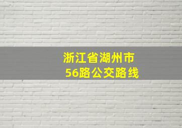 浙江省湖州市56路公交路线