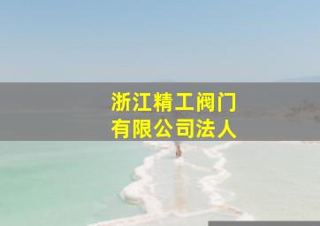 浙江精工阀门有限公司法人