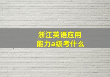 浙江英语应用能力a级考什么