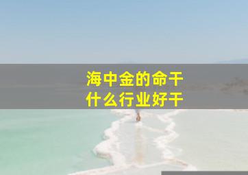 海中金的命干什么行业好干