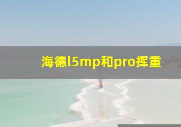 海德l5mp和pro挥重