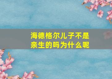 海德格尔儿子不是亲生的吗为什么呢