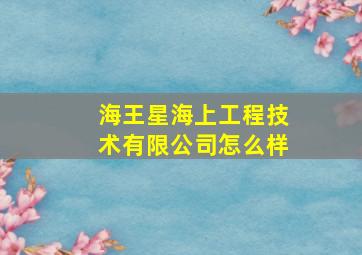 海王星海上工程技术有限公司怎么样