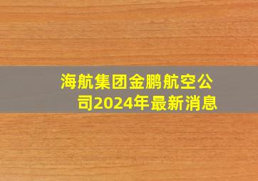 海航集团金鹏航空公司2024年最新消息