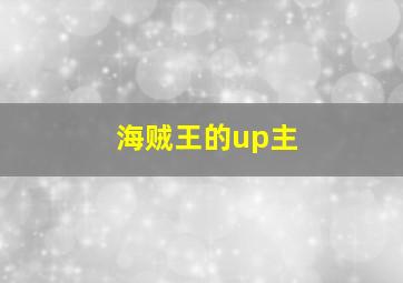 海贼王的up主