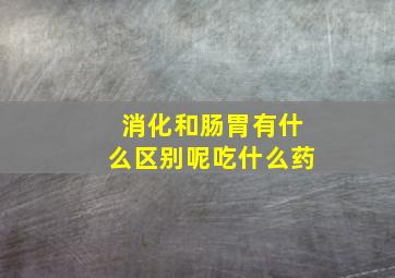 消化和肠胃有什么区别呢吃什么药