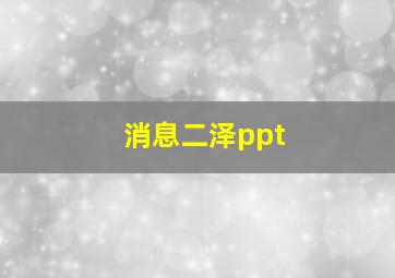 消息二泽ppt