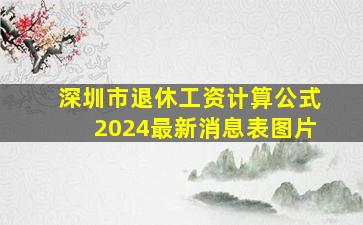 深圳市退休工资计算公式2024最新消息表图片