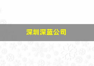 深圳深蓝公司