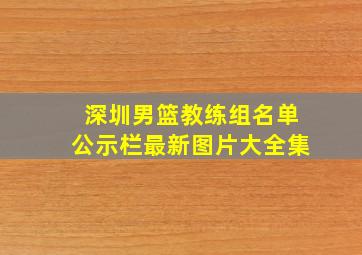 深圳男篮教练组名单公示栏最新图片大全集