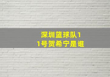 深圳篮球队11号贺希宁是谁