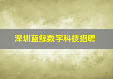 深圳蓝鲸数字科技招聘