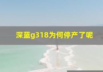 深蓝g318为何停产了呢