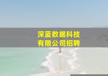 深蓝数据科技有限公司招聘