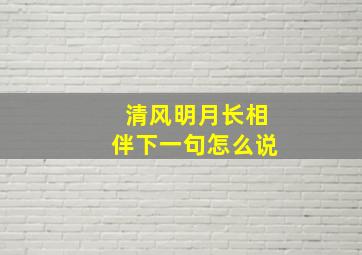 清风明月长相伴下一句怎么说