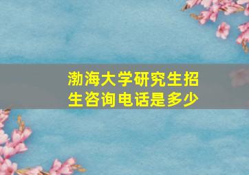 渤海大学研究生招生咨询电话是多少