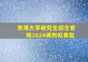 渤海大学研究生招生官网2024调剂拟录取