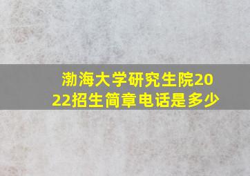 渤海大学研究生院2022招生简章电话是多少