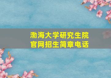 渤海大学研究生院官网招生简章电话