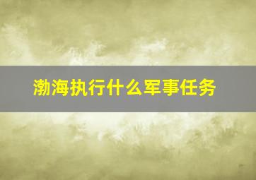 渤海执行什么军事任务