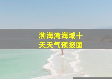 渤海湾海域十天天气预报图