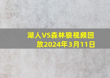 湖人VS森林狼视频回放2024年3月11日