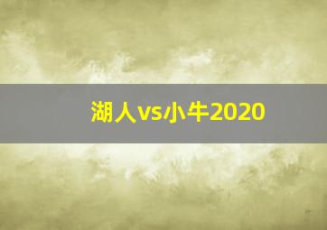 湖人vs小牛2020