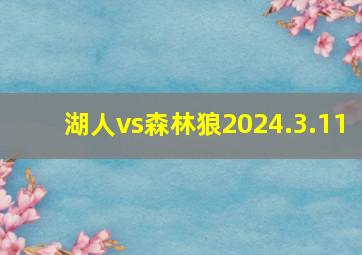 湖人vs森林狼2024.3.11