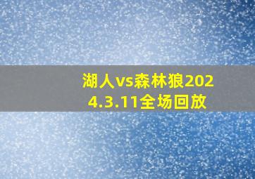 湖人vs森林狼2024.3.11全场回放