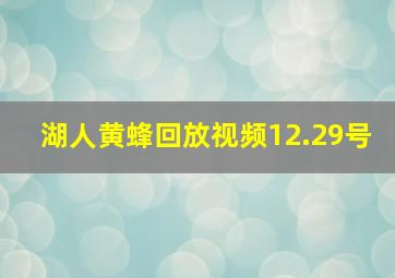 湖人黄蜂回放视频12.29号