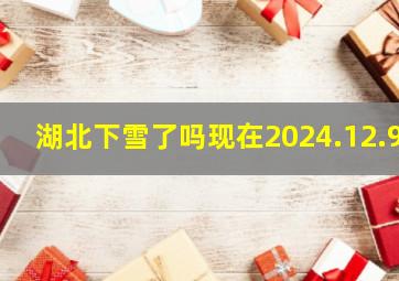 湖北下雪了吗现在2024.12.9