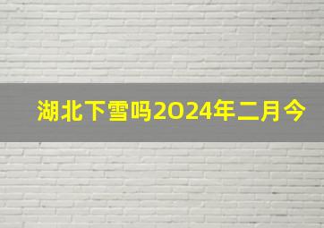 湖北下雪吗2O24年二月今