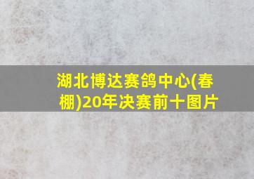 湖北博达赛鸽中心(春棚)20年决赛前十图片