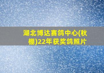 湖北博达赛鸽中心(秋棚)22年获奖鸽照片