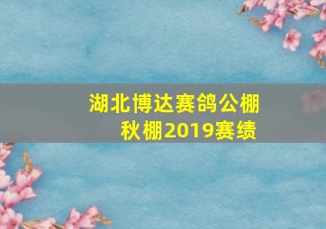 湖北博达赛鸽公棚秋棚2019赛绩