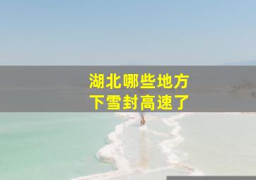 湖北哪些地方下雪封高速了