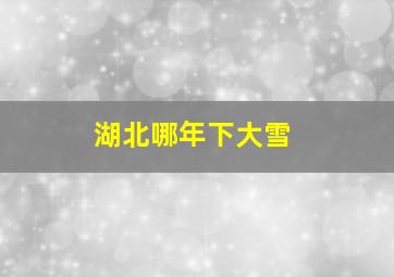 湖北哪年下大雪