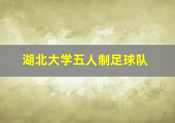 湖北大学五人制足球队