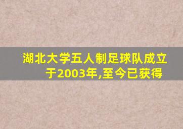 湖北大学五人制足球队成立于2003年,至今已获得