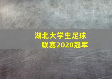 湖北大学生足球联赛2020冠军