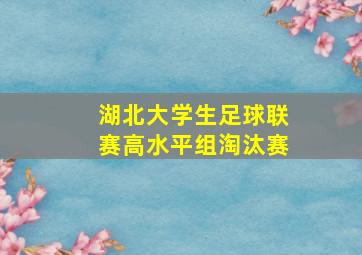 湖北大学生足球联赛高水平组淘汰赛