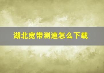 湖北宽带测速怎么下载