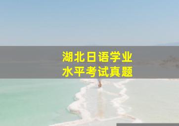 湖北日语学业水平考试真题